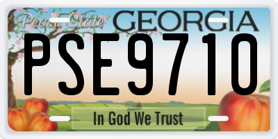 GA license plate PSE9710