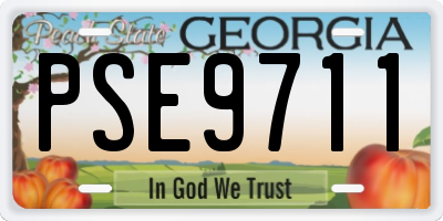 GA license plate PSE9711