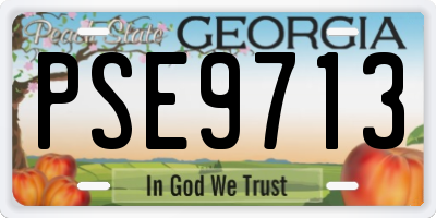 GA license plate PSE9713