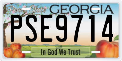 GA license plate PSE9714
