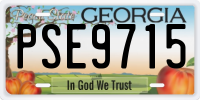 GA license plate PSE9715