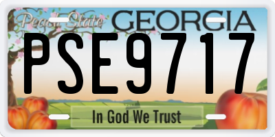 GA license plate PSE9717