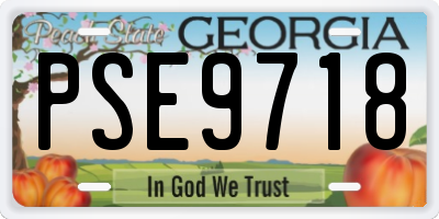 GA license plate PSE9718
