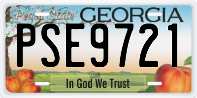GA license plate PSE9721