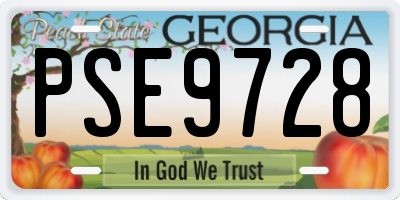 GA license plate PSE9728