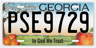 GA license plate PSE9729