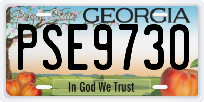 GA license plate PSE9730