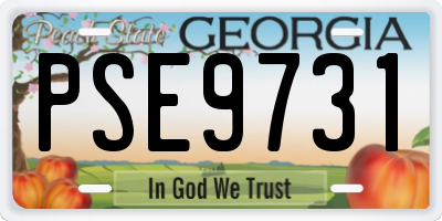 GA license plate PSE9731