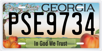 GA license plate PSE9734