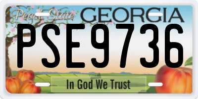 GA license plate PSE9736