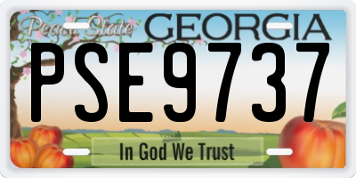 GA license plate PSE9737