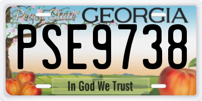 GA license plate PSE9738