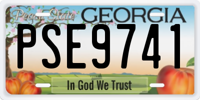 GA license plate PSE9741