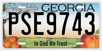GA license plate PSE9743