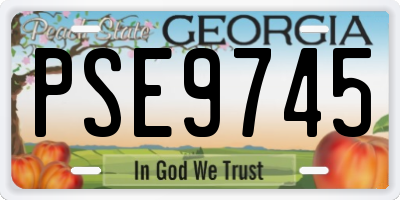 GA license plate PSE9745