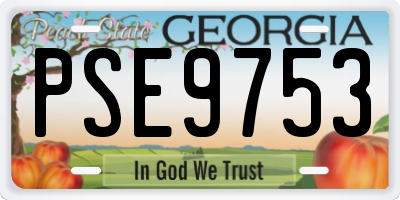 GA license plate PSE9753