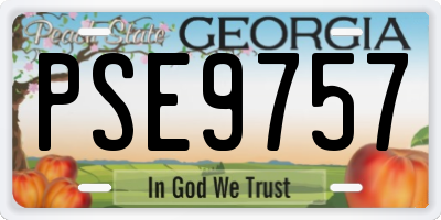 GA license plate PSE9757