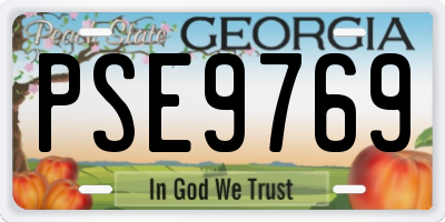 GA license plate PSE9769