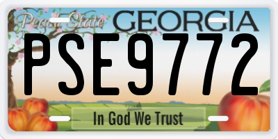 GA license plate PSE9772