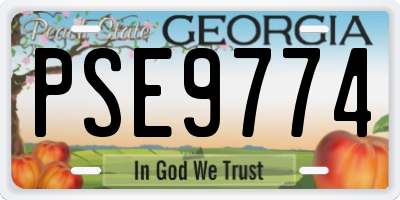 GA license plate PSE9774