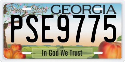 GA license plate PSE9775