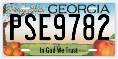GA license plate PSE9782