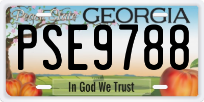 GA license plate PSE9788