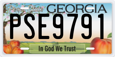 GA license plate PSE9791