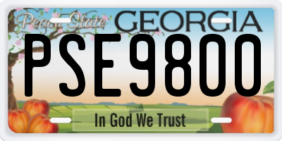 GA license plate PSE9800