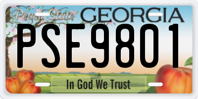 GA license plate PSE9801