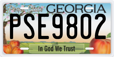 GA license plate PSE9802