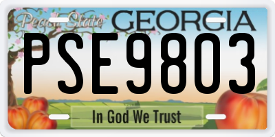 GA license plate PSE9803