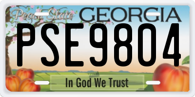 GA license plate PSE9804