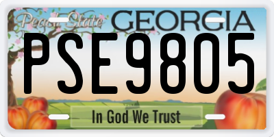 GA license plate PSE9805