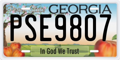 GA license plate PSE9807