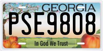 GA license plate PSE9808