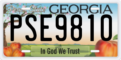 GA license plate PSE9810