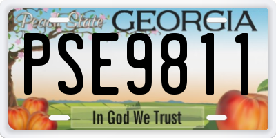 GA license plate PSE9811