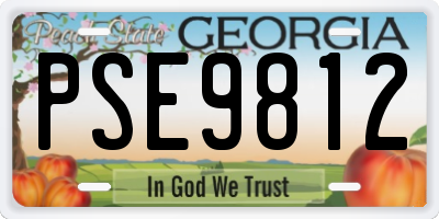 GA license plate PSE9812