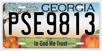 GA license plate PSE9813