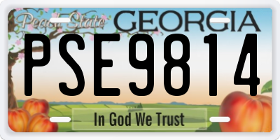 GA license plate PSE9814