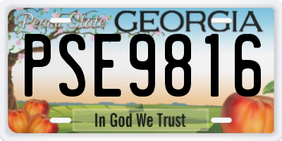 GA license plate PSE9816