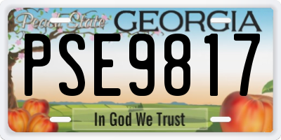 GA license plate PSE9817
