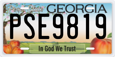 GA license plate PSE9819