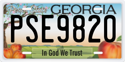 GA license plate PSE9820