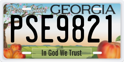 GA license plate PSE9821