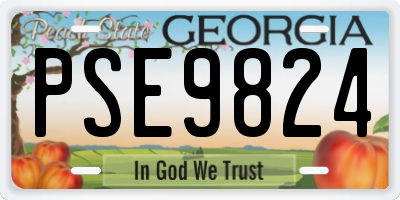 GA license plate PSE9824