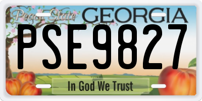 GA license plate PSE9827