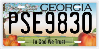 GA license plate PSE9830