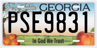 GA license plate PSE9831